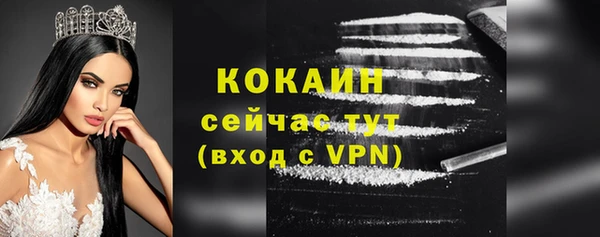 ГАЛЛЮЦИНОГЕННЫЕ ГРИБЫ Майский