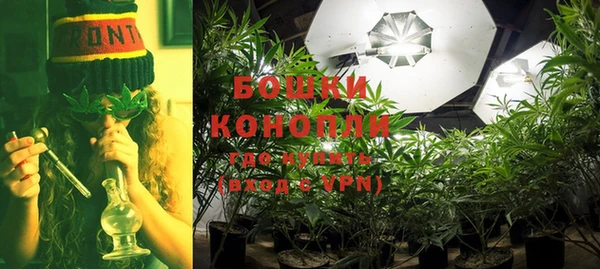 ГАЛЛЮЦИНОГЕННЫЕ ГРИБЫ Майский